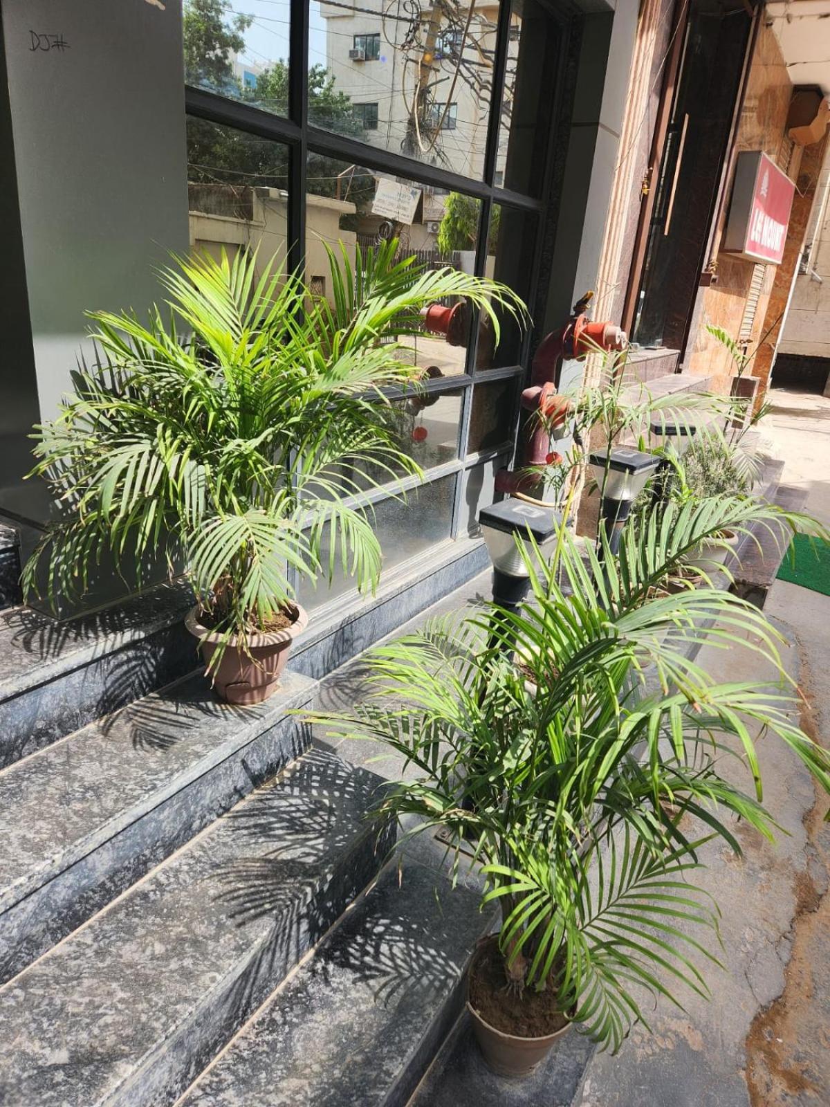 Hotel City Lite Near Igi Airport New Delhi Exterior photo
